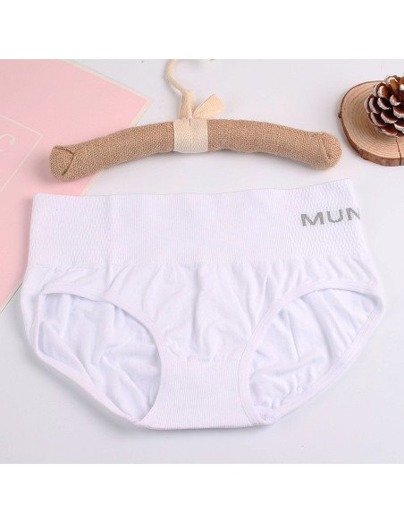 Mayoreo de pantaletas de cintura importada al mayoreo en LHESH