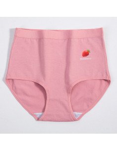 Pantaletas para dama al Mayoreo en LHESH