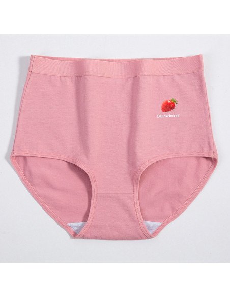 Pantaletas para dama al Mayoreo en LHESH