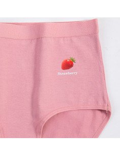 Pantaletas para dama al Mayoreo en LHESH 2