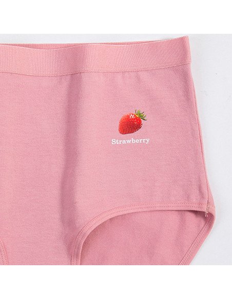 Pantaletas para dama al Mayoreo en LHESH